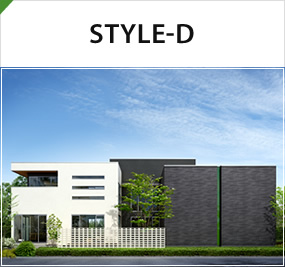 STYLE-D