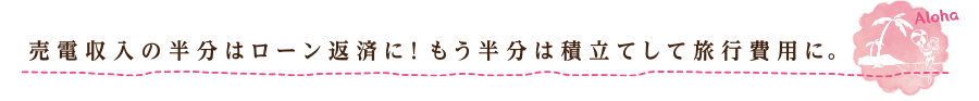 売電収入の半分はローン返済に!もう半分は積立して旅行費用に。